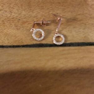 Sparkling Rose Gold Hoop Earrings